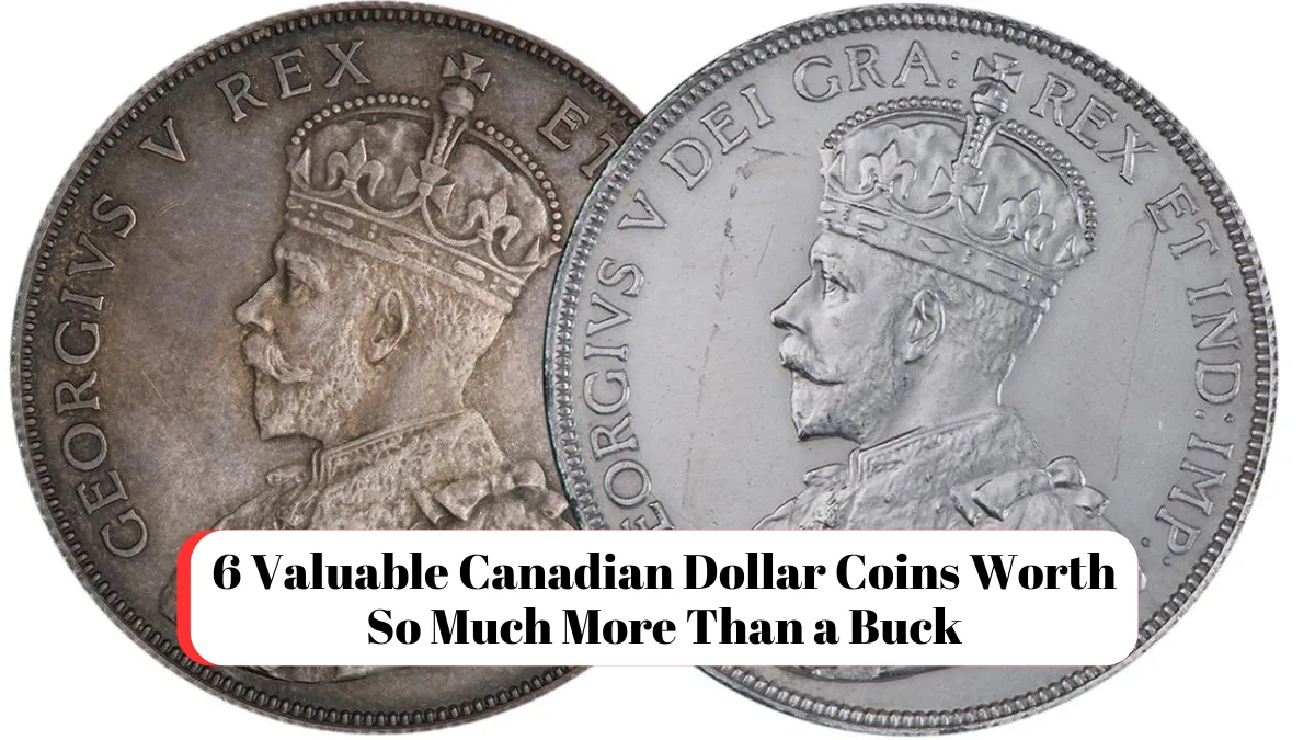 6 Valuable Canadian Dollar Coins Worth So Much More Than a Buck